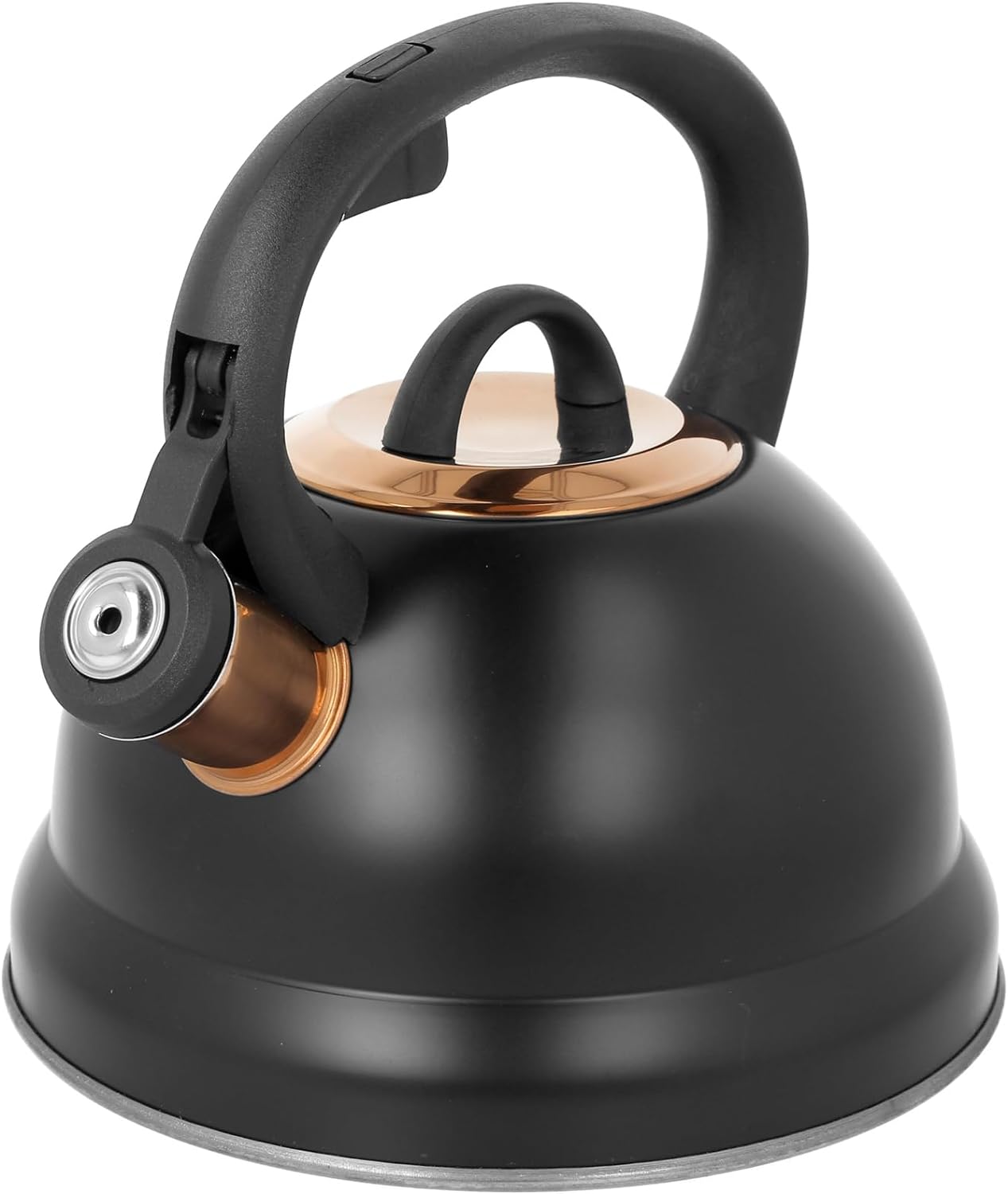 Tea Kettle Induction Black 2.5 L Induction Water Kettle Gas Stove Kettle Camping Gas Stainless Steel Whistling Kettle Matt